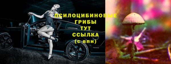 apvp Переславль-Залесский