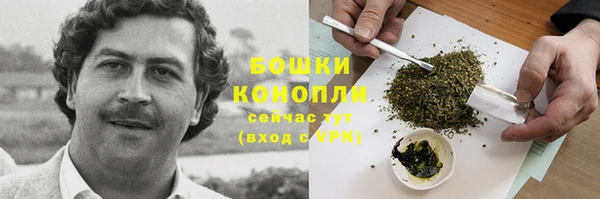 ПСИЛОЦИБИНОВЫЕ ГРИБЫ Пестово