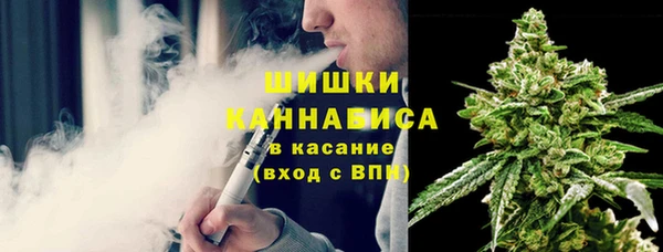 ПСИЛОЦИБИНОВЫЕ ГРИБЫ Пестово
