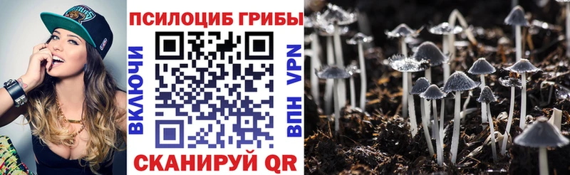 Галлюциногенные грибы Psilocybine cubensis  наркотики  Артёмовский 